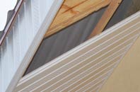 rated Dunton Green soffit repair companies